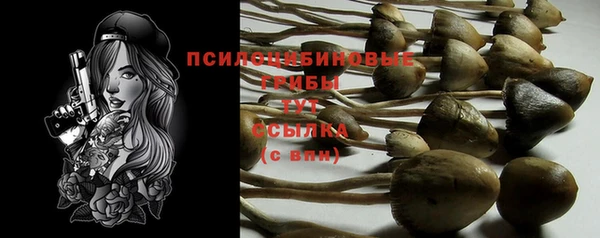 каннабис Инта