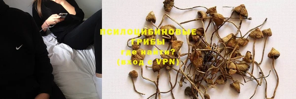 каннабис Инта