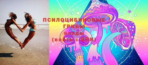 каннабис Инта