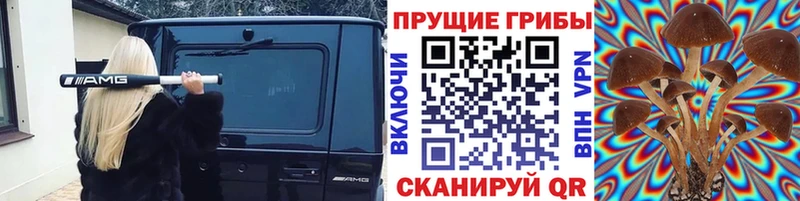 МЕГА ТОР  это официальный сайт  Галлюциногенные грибы GOLDEN TEACHER  Свирск 